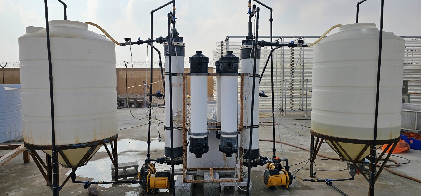 conference project photo